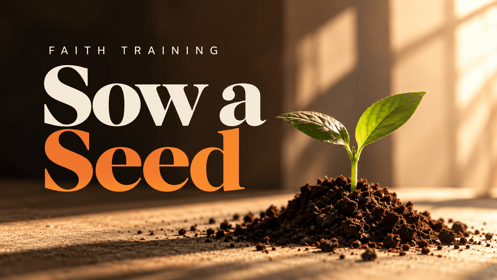 Faith Training — Sow a Seed. Small seeds. Lasting impact. Same God. More people. Bigger impact.